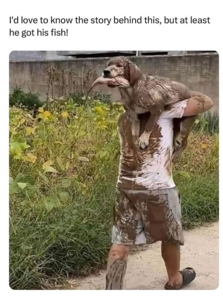 I'd love to know the story behind this, but at least he got his fish!