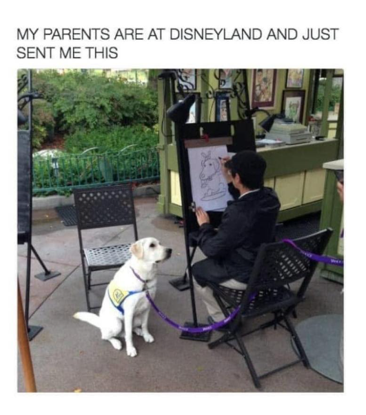 MY PARENTS ARE AT DISNEYLAND AND JUST SENT ME THIS