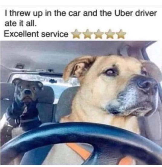 I threw up in the car and the Uber driver ate it all. Excellent service