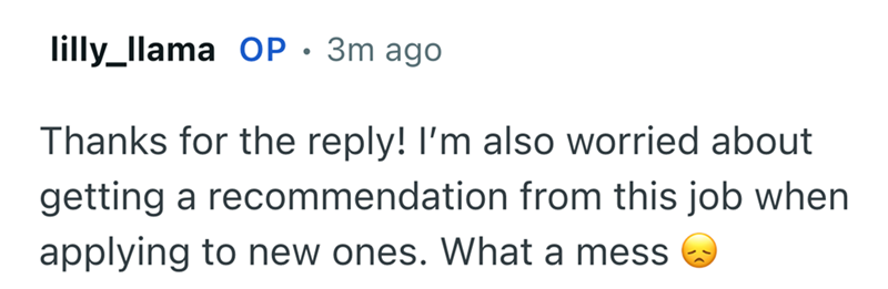 lilly_llama OP. 3m ago Thanks for the reply! I'm also worried about getting a recommendation from this job when applying to new ones. What a mess