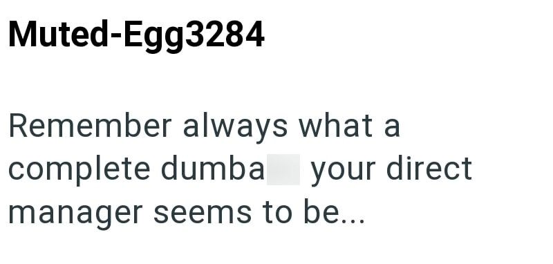 Muted-Egg3284 Remember always what a complete dumba your direct manager seems to be...