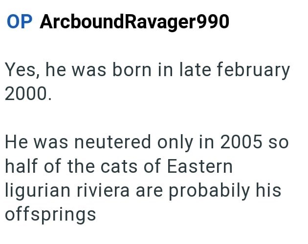 OP ArcboundRavager990 Yes, he was born in late february 2000. He was neutered only in 2005 so half of the cats of Eastern ligurian riviera are probabily his offsprings
