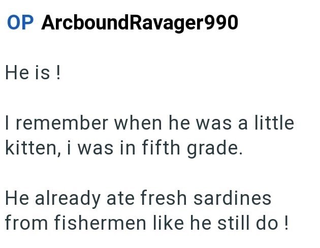 OP ArcboundRavager990 He is ! I remember when he was a little kitten, i was in fifth grade. He already ate fresh sardines from fishermen like he still do!