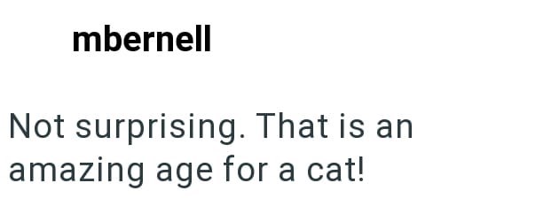 mbernell Not surprising. That is an amazing age for a cat!