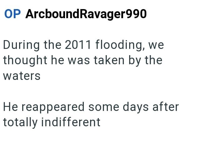 OP ArcboundRavager990 During the 2011 flooding, we thought he was taken by the waters He reappeared some days after totally indifferent