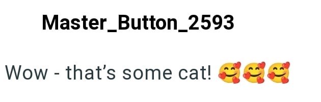 Master_Button_2593 Wow - that's some cat!
