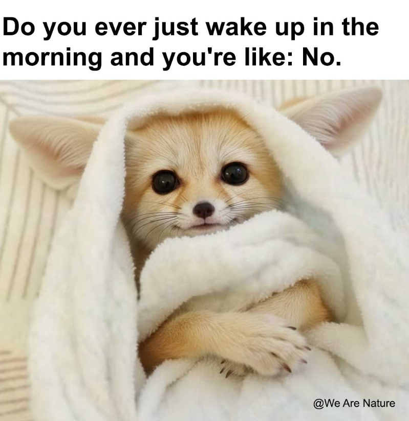 Do you ever just wake up in the morning and you're like: No. @We Are Nature