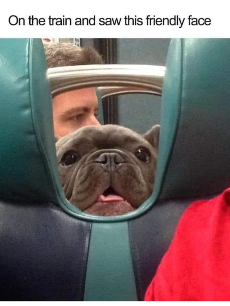 On the train and saw this friendly face