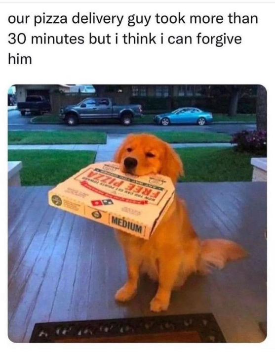 our pizza delivery guy took more than 30 minutes but i think i can forgive him MEDIUM B