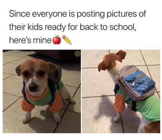 Since everyone is posting pictures of their kids ready for back to school, here's mine