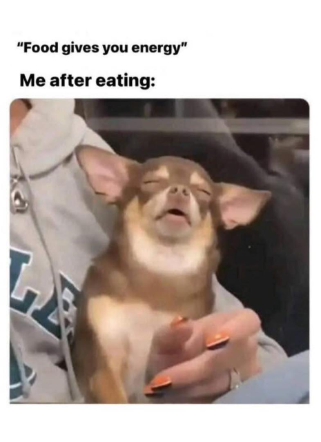 "Food gives you energy" Me after eating: