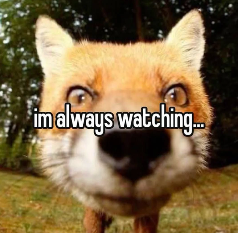 im always watching...