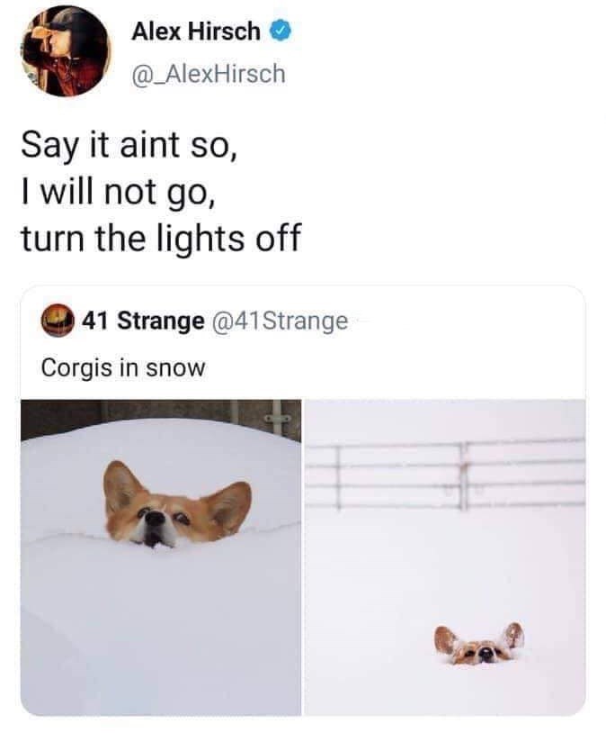 Alex Hirsch @_AlexHirsch Say it aint so, I will not go, turn the lights off 41 Strange @41Strange Corgis in snow