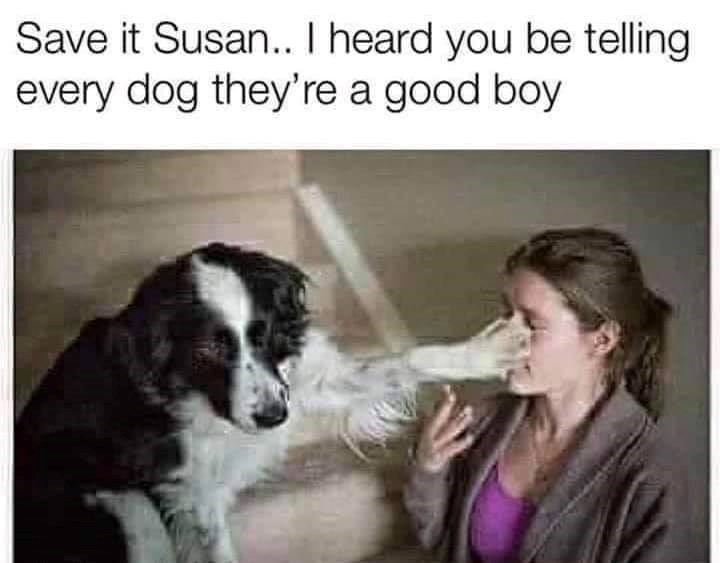 Save it Susan.. I heard you be telling every dog they're a good boy.