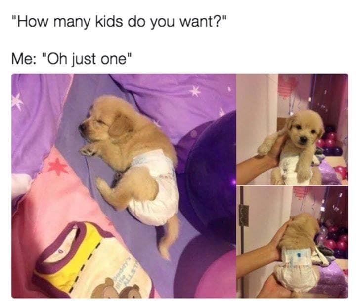 "How many kids do you want?" Me: "Oh just one" baddy's