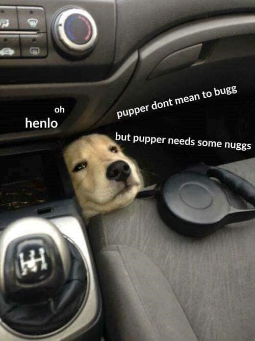 包 henlo oh pupper dont mean to bugg but pupper needs some nuggs