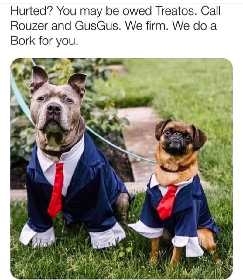 Hurted? You may be owed Treatos. Call Rouzer and GusGus. We firm. We do a Bork for you.