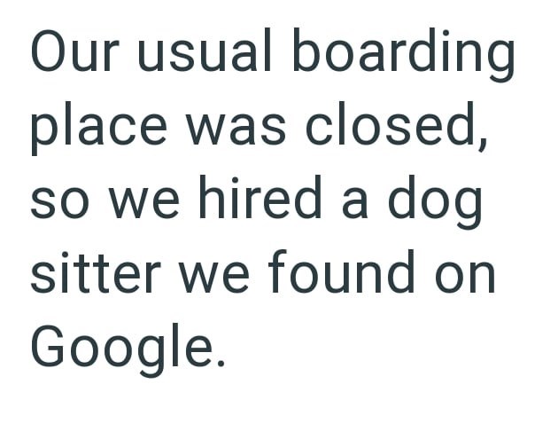 Our usual boarding place was closed, so we hired a dog sitter we found on Google.