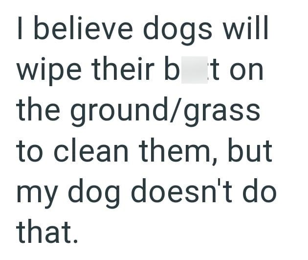 I believe dogs will wipe their bat on the ground/grass to clean them, but my dog doesn't do that.
