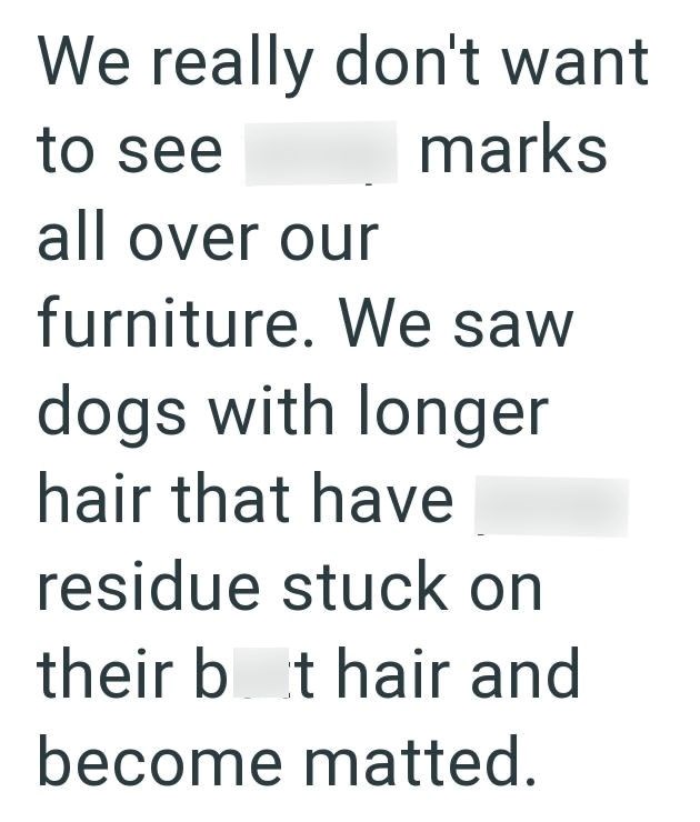 We really don't want to see all over our marks furniture. We saw dogs with longer hair that have residue stuck on their bat hair and become matted.