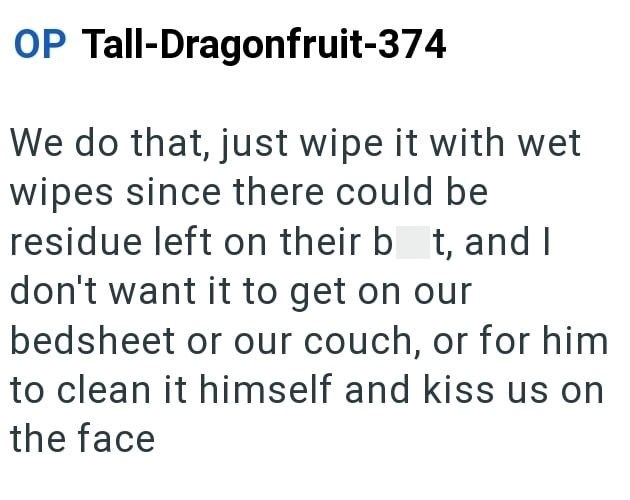 OP Tall-Dragonfruit-374 We do that, just wipe it with wet wipes since there could be residue left on their bt, and I don't want it to get on our bedsheet or our couch, or for him to clean it himself and kiss us on the face