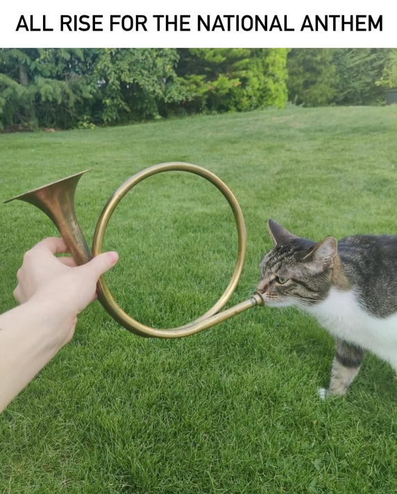 ALL RISE FOR THE NATIONAL ANTHEM