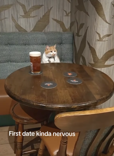 First date kinda nervous