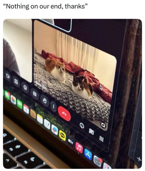 "Nothing on our end, thanks" CO Bami Kim tv 44 +