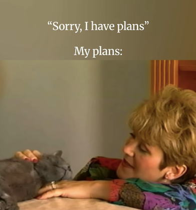 "Sorry, I have plans" My plans: