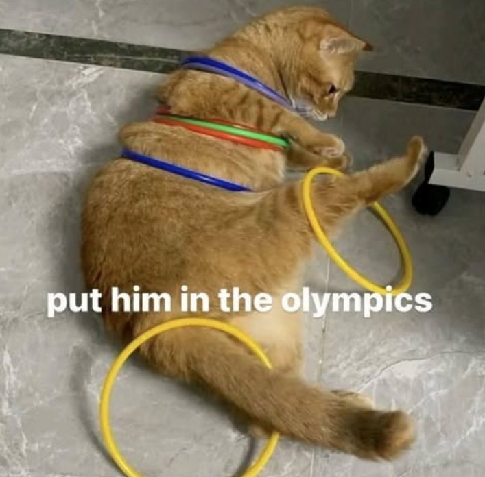 put him in the olympics