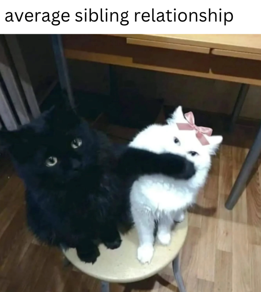 C average sibling relationship