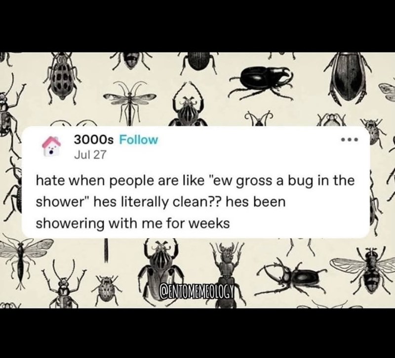 Y 3000s Follow Jul 27 hate when people are like "ew gross a bug in the shower" hes literally clean?? hes been showering with me for weeks @ENTOMEMEOLOGY