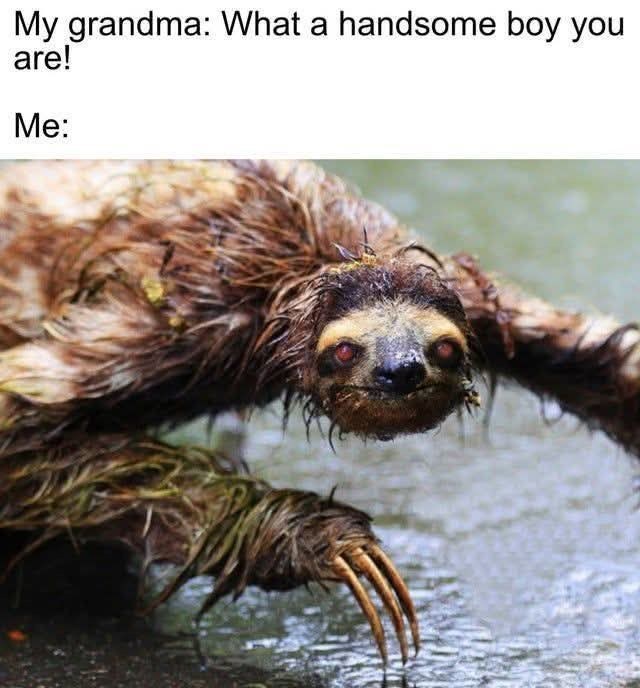 My grandma: What a handsome boy you are! Me: