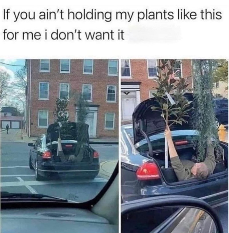 If you ain't holding my plants like this for me i don't want it