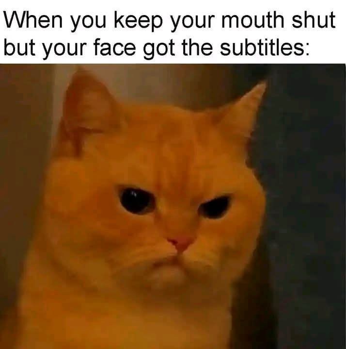 When you keep your mouth shut but your face got the subtitles: