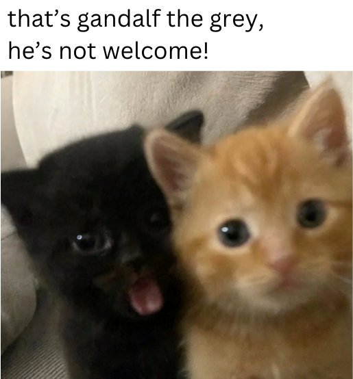 that's gandalf the grey, he's not welcome!