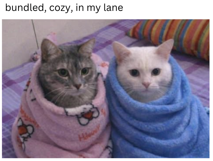 bundled, cozy, in my lane He