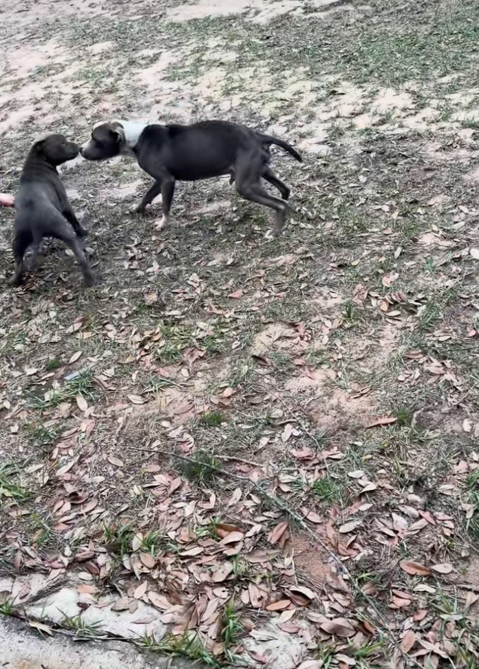 Cheezburger Image 10614504192