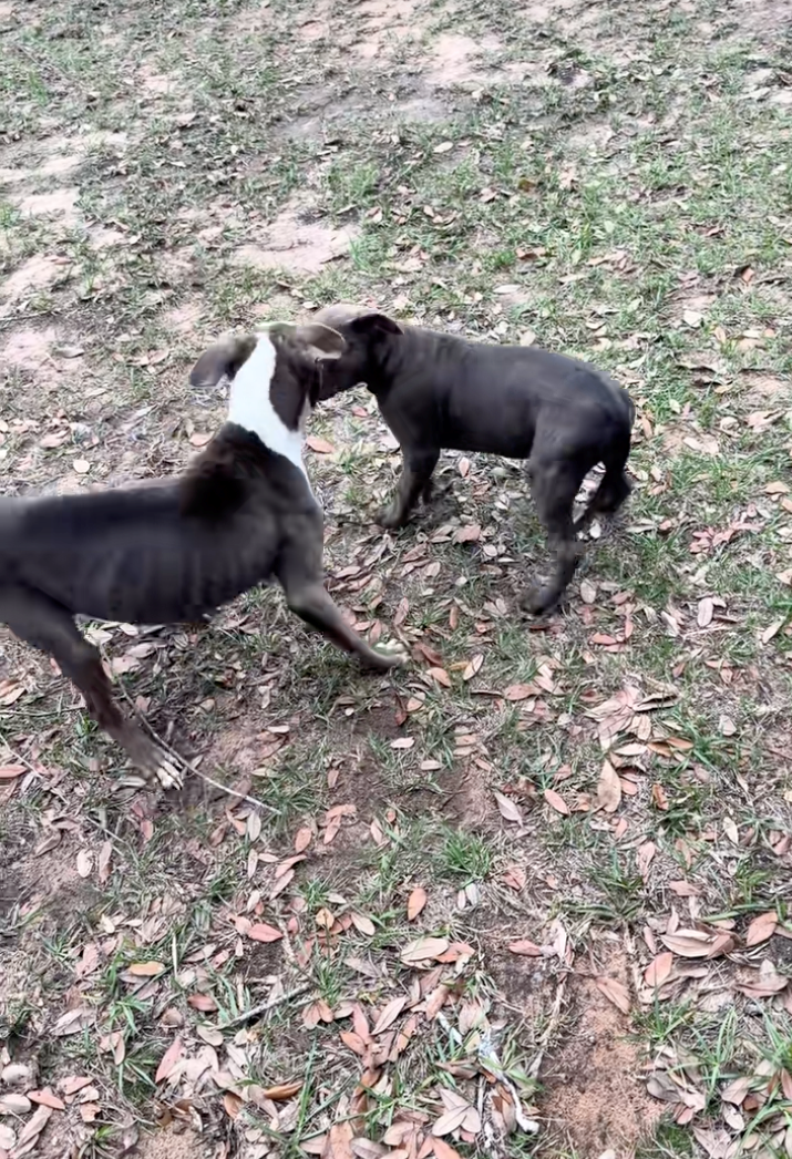 Cheezburger Image 10614504704