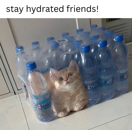 stay hydrated friends! WATE WAT ER SO