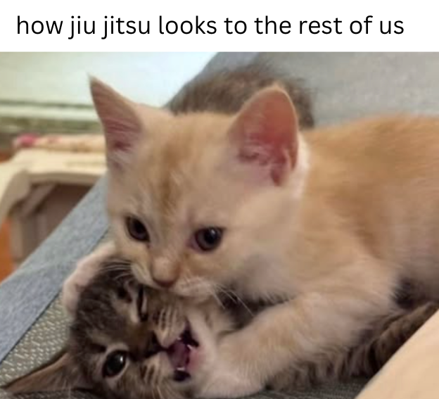 how jiu jitsu looks to the rest of us