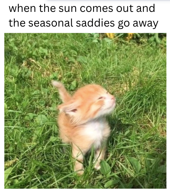 when the sun comes out and the seasonal saddies go away