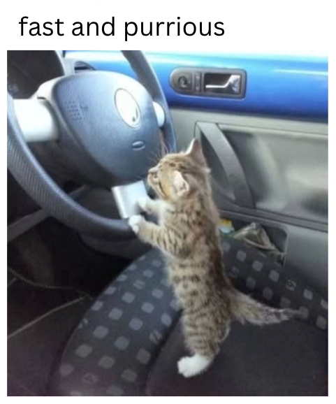 fast and purrious