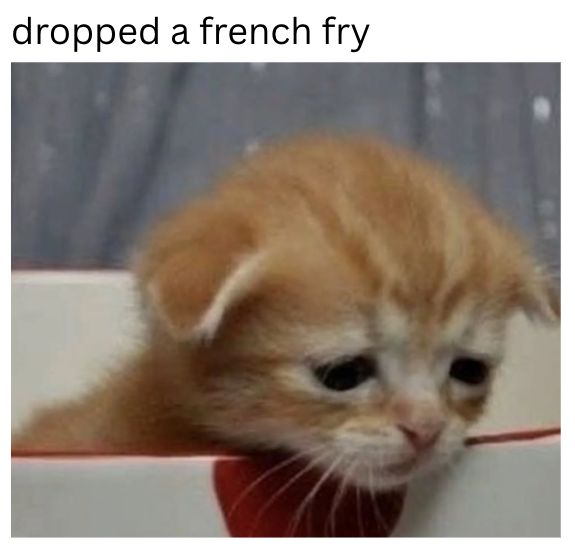 dropped a french fry