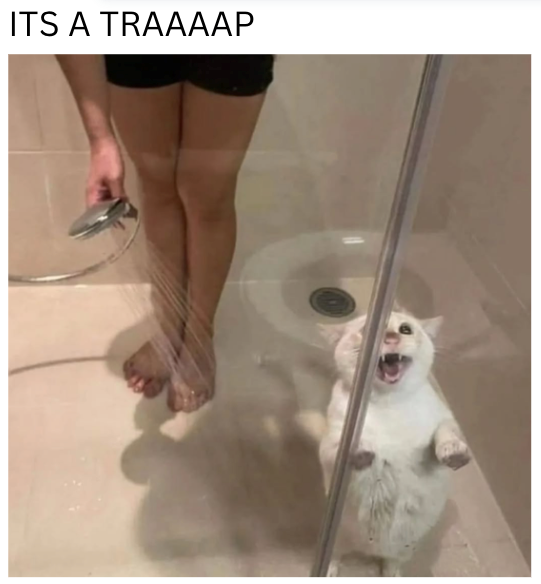 ITS A TRAAAAP