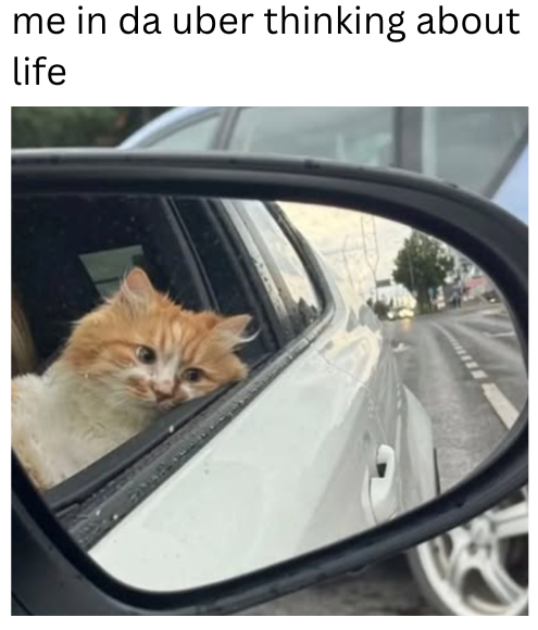 me in da uber thinking about life