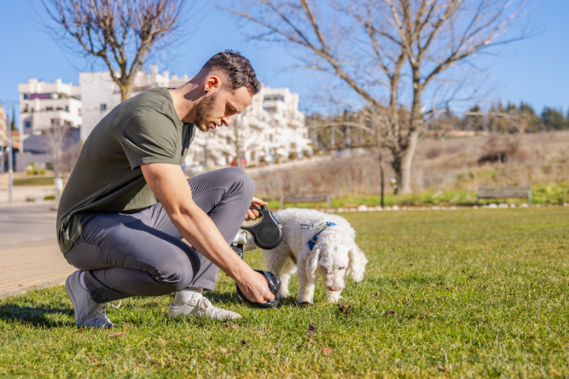 A man picks up the dog's stool while on a walk in the park.
