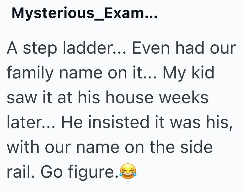 Mysterious_Exam... A step ladder... Even had our family name on it... My kid. saw it at his house weeks later... He insisted it was his, with our name on the side rail. Go figure.