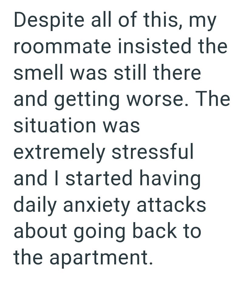 Despite all of this, my roommate insisted the smell was still there and getting worse. The situation was extremely stressful and I started having daily anxiety attacks about going back to the apartment.