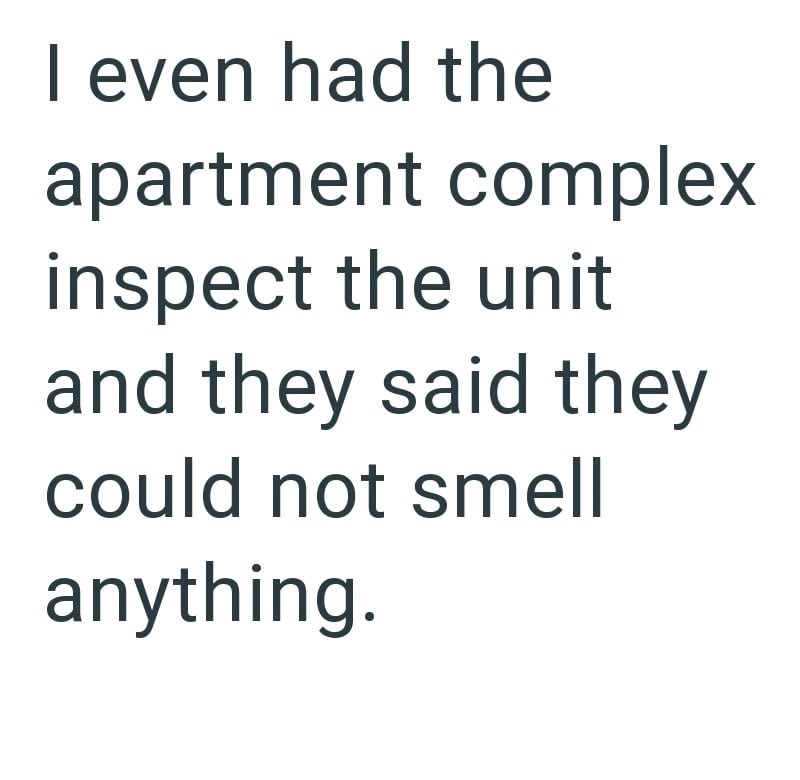 I even had the apartment complex inspect the unit and they said they could not smell anything.